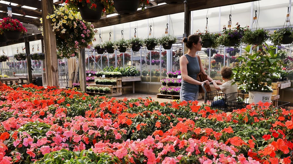 Tracy Centers shops with her son, Cole, at Berns Garden Center in Middletown. Berns was voted best greenhouse in the Journal-News Best of Butler County 2023. NICK GRAHAM/STAFF