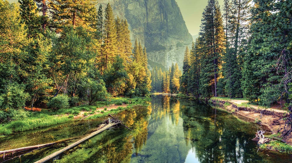 Being outside in nature and away from work and home responsibilities can help reduce stress levels. METRO NEWS SERVICE