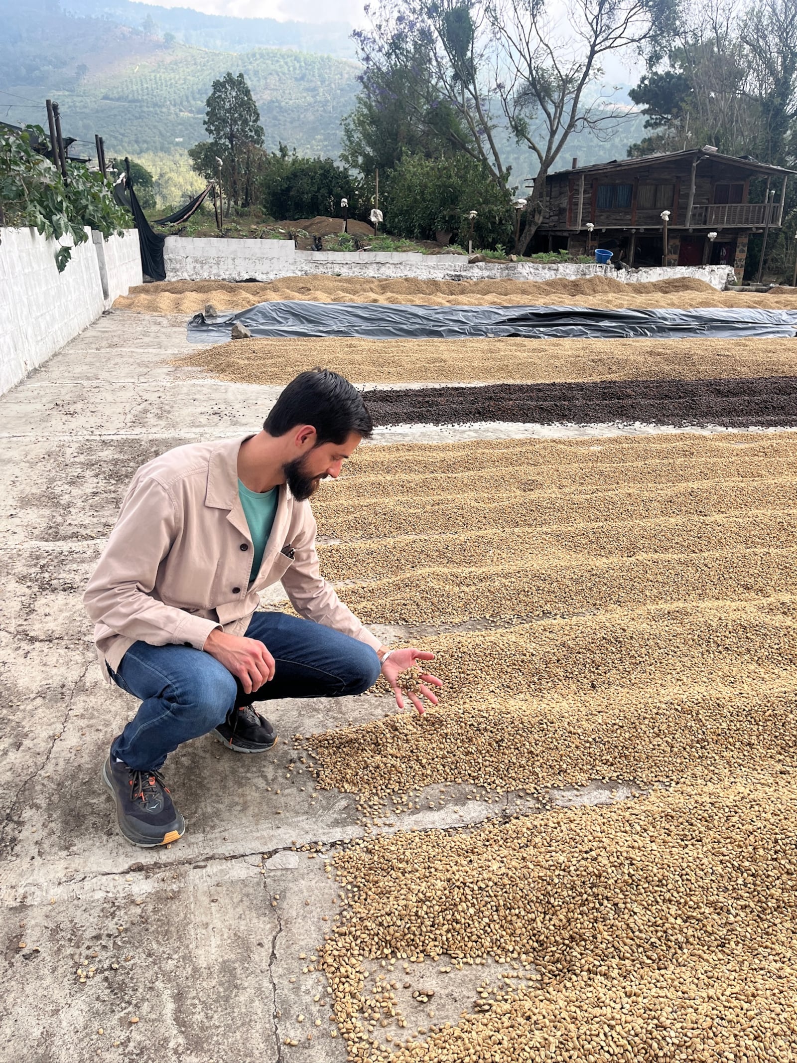 Wilson Reiser, CEO of Winans Coffee & Chocolate, inspects coffee beans on a recent trip to Guatemala. Reiser said his company has so far absorbed costs resulting from tariffs. CONTRIBUTED