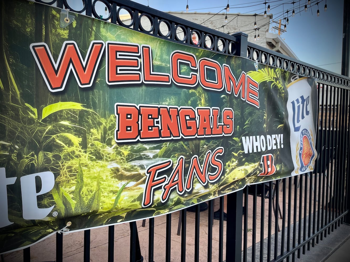 Cincinnati Bengals Open in Orange