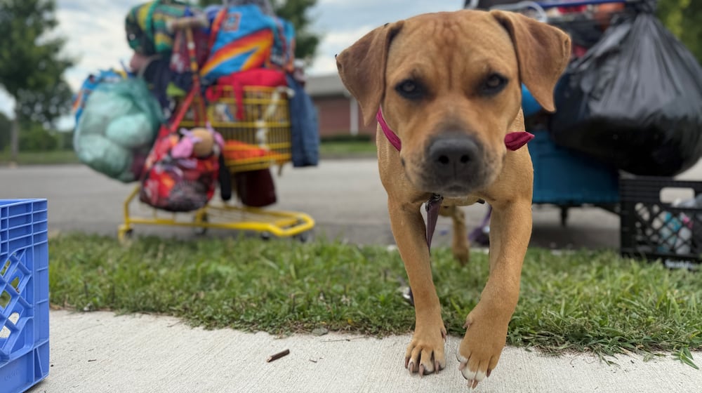"Goldie" is a dog that belongs to Tina E., who is one of the people who lived in a homeless encampment at McIntosh park in northwest Dayton. The city of Dayton cleared the encampment on Aug. 6, 2025. CORNELIUS FROLIK / STAFF