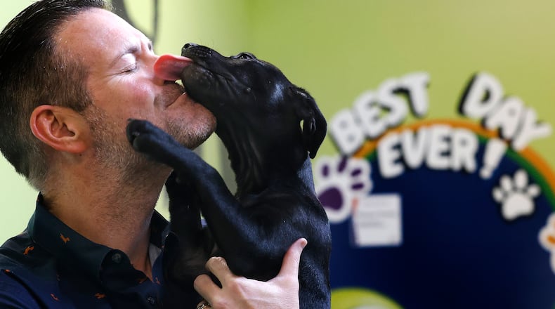 SICSA CEO, Jack Omer gets love from a cute puppy at the SICSA Pet Adoption and Wellness Center. MARSHALL GORBY\STAFF