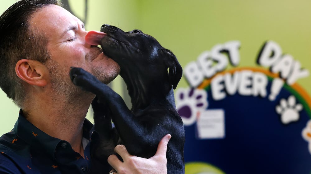 SICSA CEO, Jack Omer gets love from a cute puppy at the SICSA Pet Adoption and Wellness Center. MARSHALL GORBY\STAFF